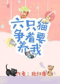 六只猫争着要养我封面