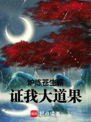 炉炼苍生薪，证我大道果！封面