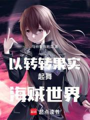 以转转果实起舞海贼世界封面