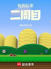 我的玩家二周目封面