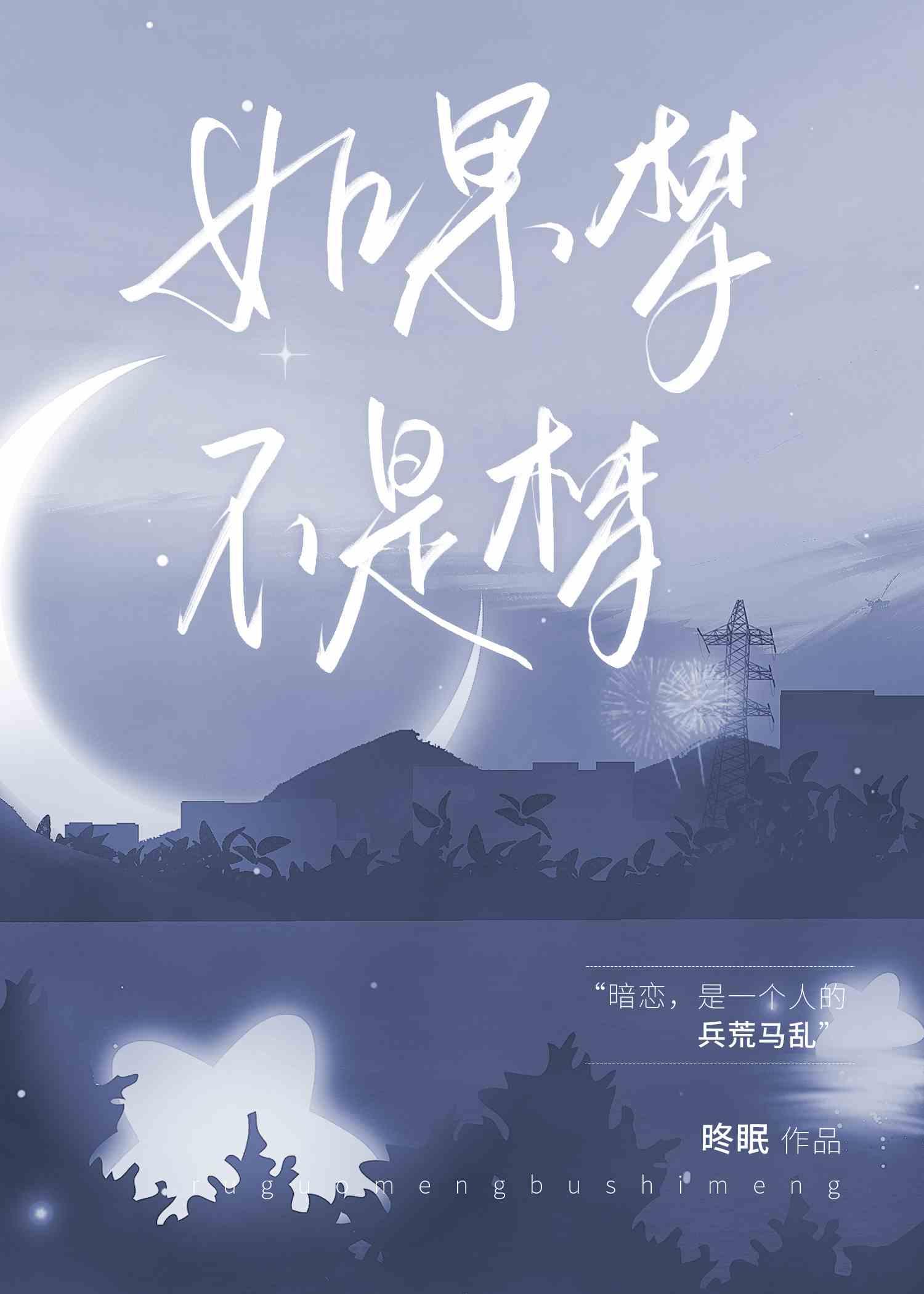 如果梦不是梦封面