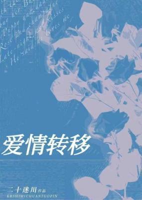 爱情转移封面