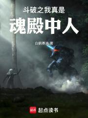 斗破之我真是魂殿中人封面