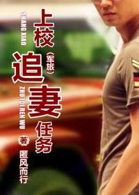 上校追妻任务封面