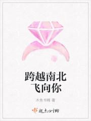 跨越南北飞向你封面