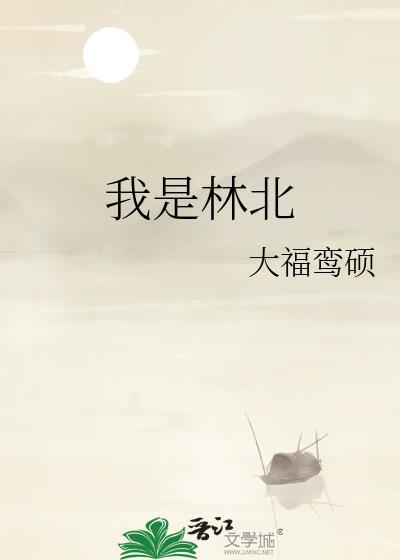 我是林北封面