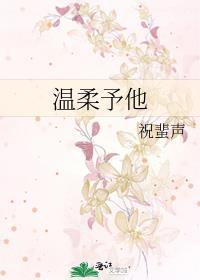 温柔予他封面