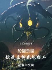 轮回乐园，但是主神光球版本封面