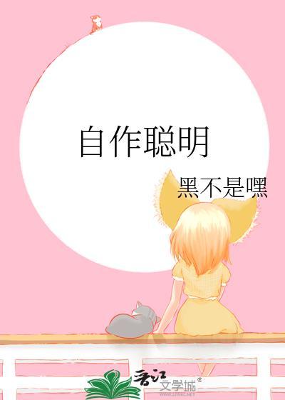 自作聪明封面