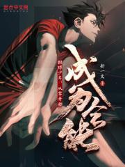 排球少年：从零开始成为全能封面