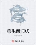 重生西门庆封面