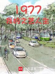 1977：我的文艺人生封面