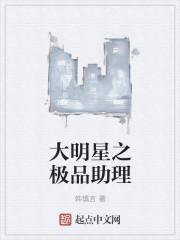 大明星之极品助理封面
