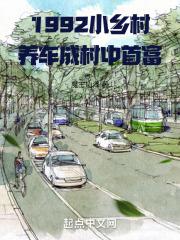1992小乡村,养车成村中首富封面