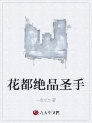 花都绝品圣手封面