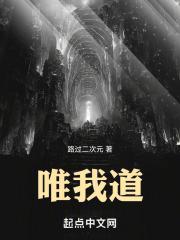 唯我道封面