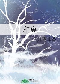 和离封面