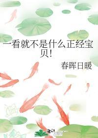 一看就不是什么正经宝贝！封面