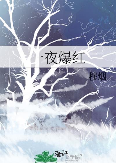 一夜爆红封面