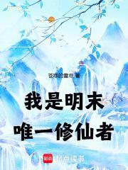 我是明末唯一修仙者封面