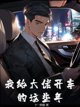 我给大佬开车的这些年封面