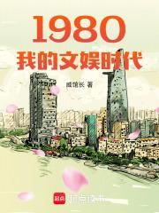 1980我的文娱时代封面