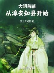 大明首辅：从淳安知县开始封面