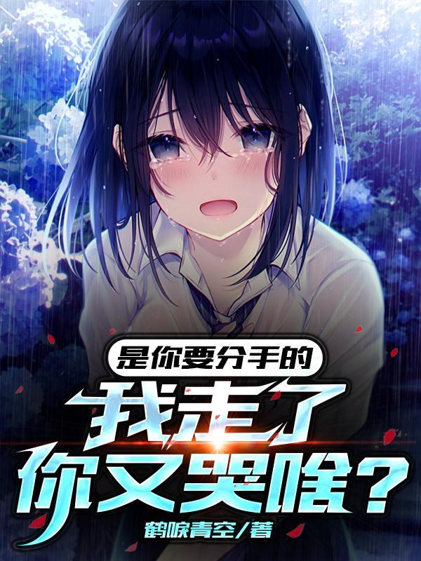 是你要分手的，我走了你又哭啥？封面