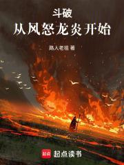 斗破从风怒龙炎开始封面