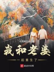 茅山风云录封面