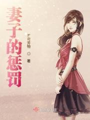 妻子的惩罚封面