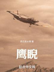 鹰睨封面