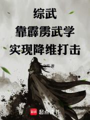 综武：靠霹雳武学实现降维打击封面