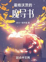 霍格沃茨的魔导书封面