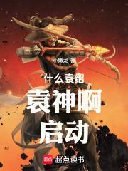 什么袁绍，袁神啊！启动！封面
