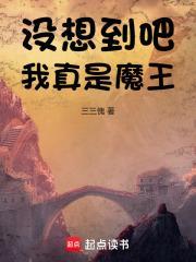没想到吧，我真是魔王封面