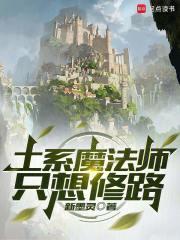 土系魔法师只想修路封面