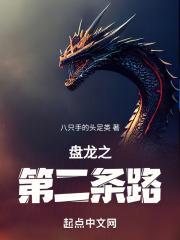 盘龙之第二条路封面