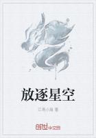 放逐星空封面