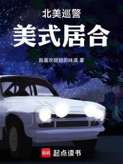 北美巡警：美式居合封面