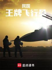 民国：王牌飞行员封面