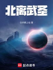 北离武圣封面