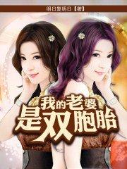 我的老婆是双胞胎封面
