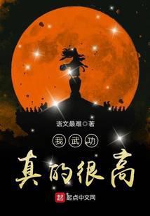 我武功真的很高封面