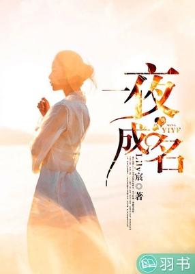 一夜成名封面