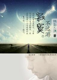 寂寞不远游封面