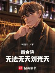 四合院：无法无天刘光天封面