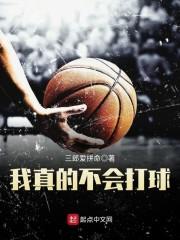 我真的不会打球封面
