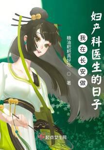 我在长安做妇产科医生的日子封面