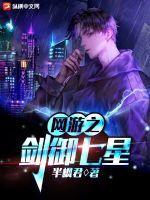 网游之剑御七星封面